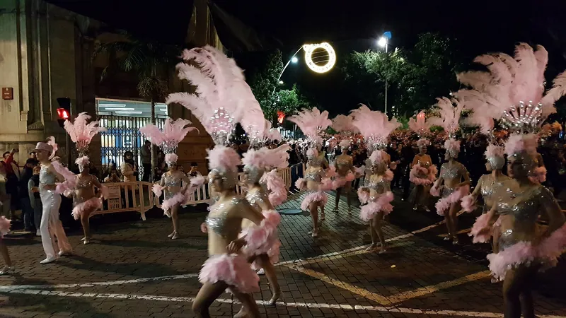 Comparsa con trajes de plumas rosas desfilando de noche en el Carnaval de Santa Cruz de Tenerife